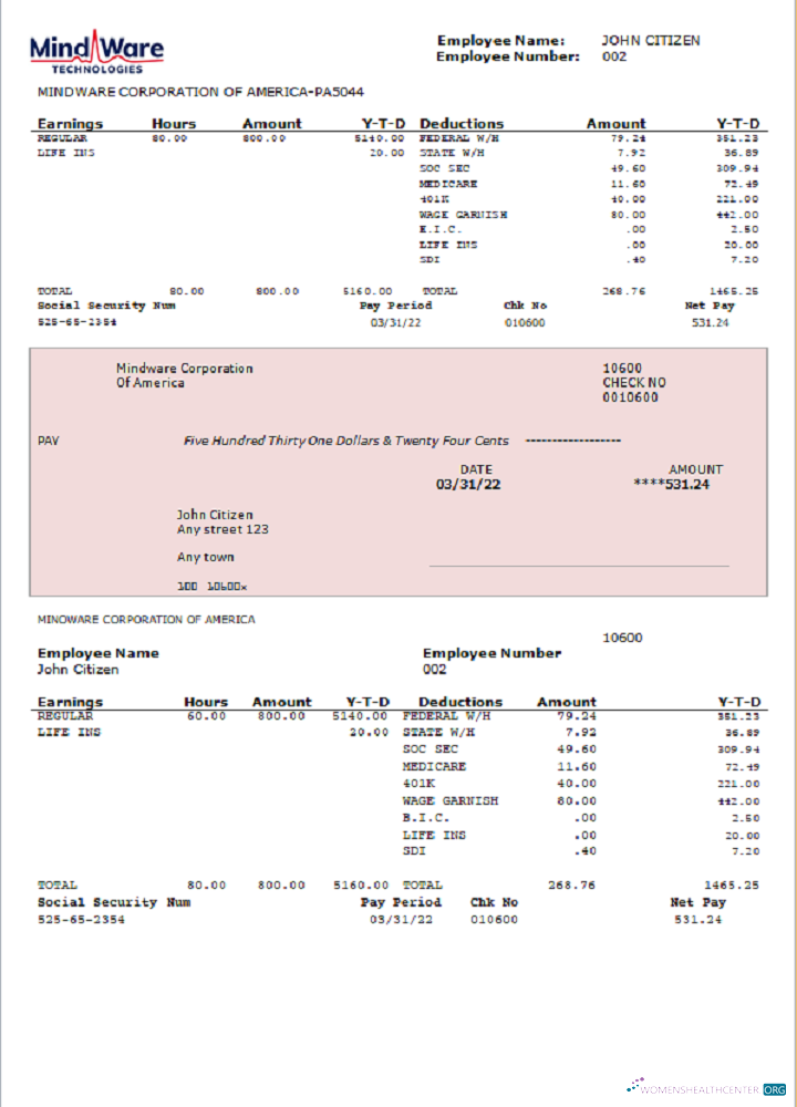 Download USA software company employee sheet Photoshop template